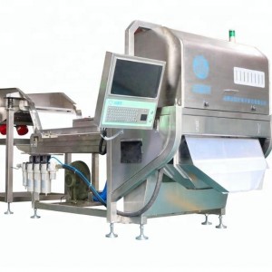 Peeled garlic cloves optical color sorter machine separating unpeeled black scar yellow spots